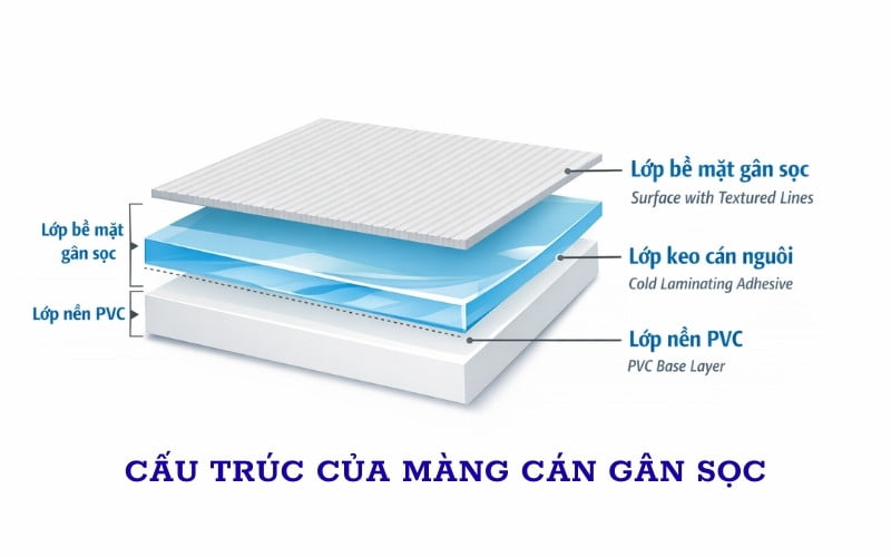 Mô phỏng cấu trúc của màng cán gân sọc 